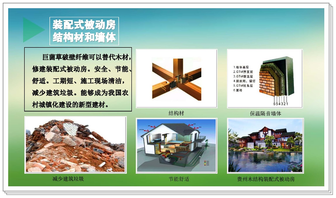新疆巨菌草产业园PDF_页面_37.jpg